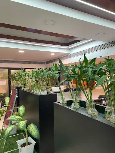 Work and Thrive image 3